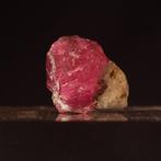 4,93 g Memento Ignis – Rubin in stoïcische verheffing op