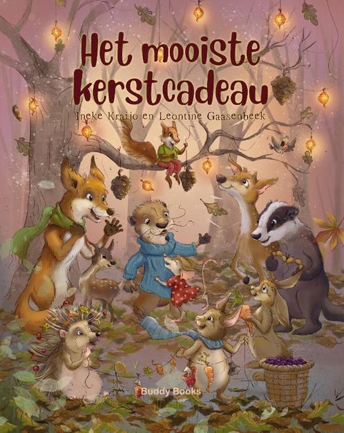 Het mooiste kerstcadeau 9789087821173 Ineke Kraijo, Boeken, Overige Boeken, Zo goed als nieuw, Verzenden