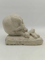 Sculpture, Memento Mori con ossa incrociate - 20 cm - poudre