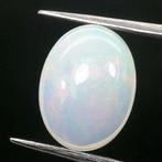 Edele opaal - 2.92 ct
