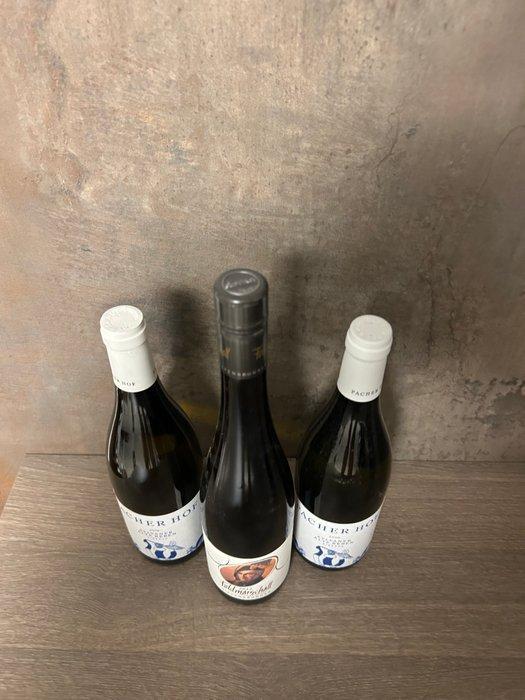 2019 , 2020 Ris. Pacher Hof Sylvaner Alte Reben & 2017, Verzamelen, Wijnen