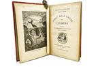 Jules Verne / Riou & Neuville - Vingt Mille Lieues sous les