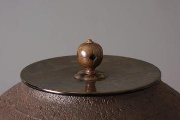bouilloire à thé en fer - Bronze, Fer (fonte) - Japon -