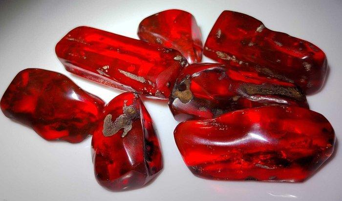 Dominicaanse amber!! Hoge kwaliteit - 295 karaat - Geen, Collections, Minéraux & Fossiles