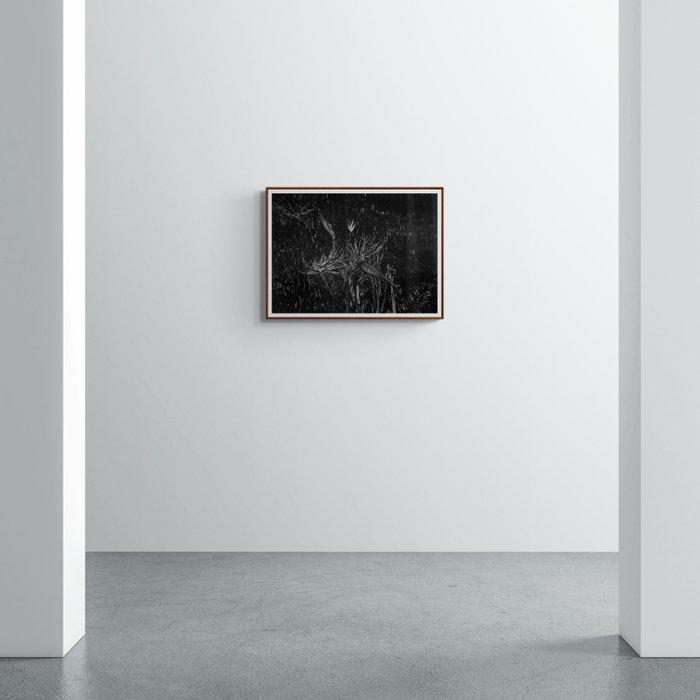 N. Magro - “Nocturnal: Birds of Paradise, Antiek en Kunst, Kunst | Designobjecten