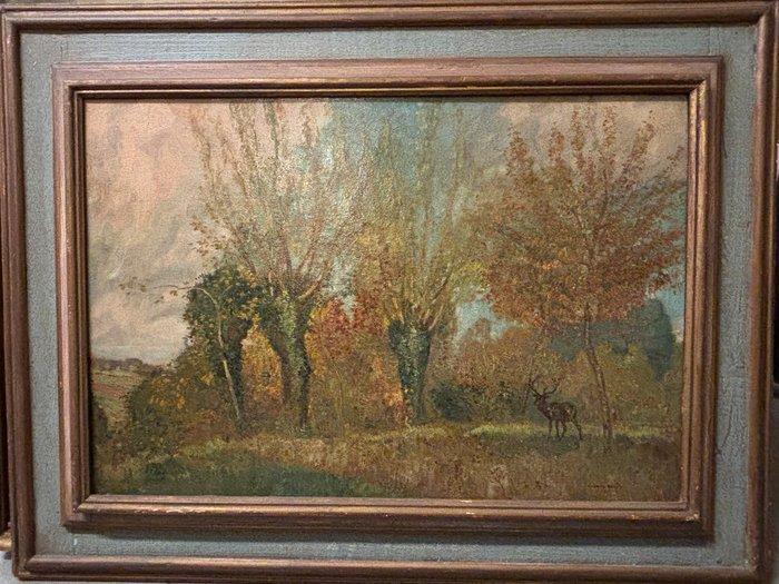 Richard Ranft (1862-1931) - Cerf dans la clairière automnale, Antiek en Kunst, Kunst | Schilderijen | Klassiek