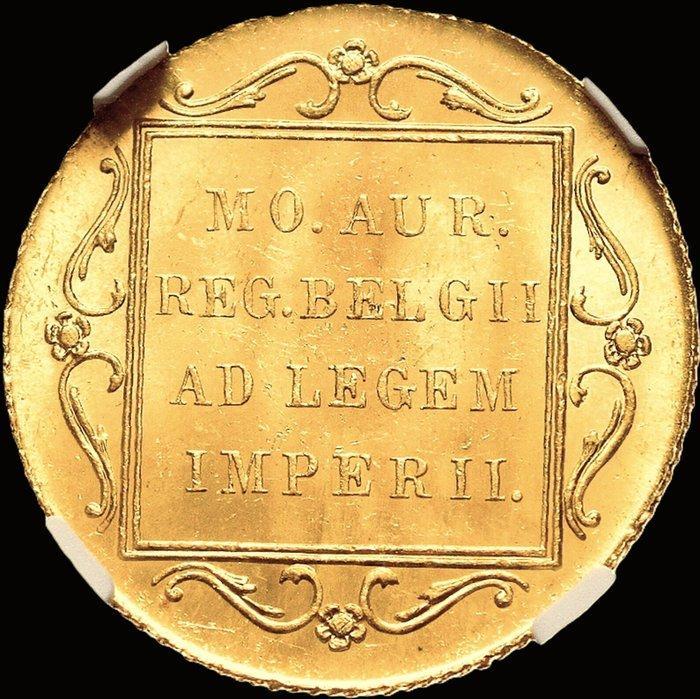 Nederland. Wilhelmina. 1 Ducat 1908, R3 NGC MS63, Postzegels en Munten, Munten | Nederland