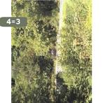 In Almost Every Picture #2 9789075380736 T. Whisnand, Verzenden, Zo goed als nieuw, T. Whisnand