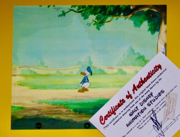 DISNEY -  Donald  Originele animatieproductiecel - with, Verzamelen, Disney
