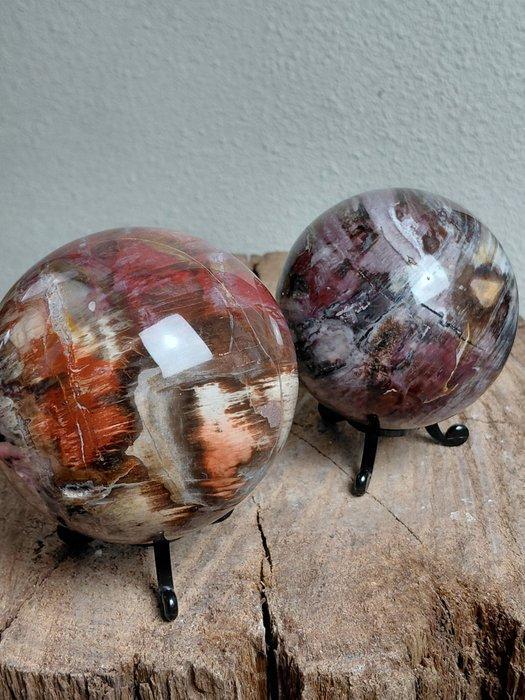 Twee grote versteende houten bollen - op standaard- 1.5 kg, Verzamelen, Mineralen en Fossielen