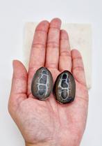 Septarie Geode, Ophalen of Verzenden, Nieuw