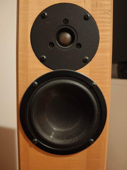 Totem - ARRO Luidsprekerset, Audio, Tv en Foto, Radio's