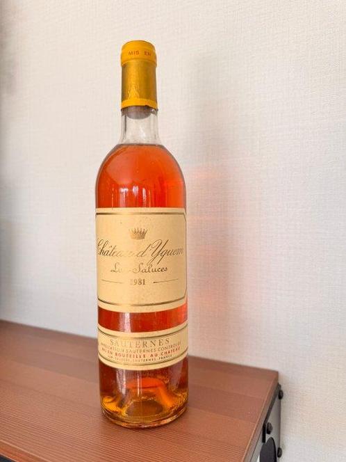 1981 Château dYquem - Sauternes 1er Cru Supérieur - 1 Fles, Verzamelen, Wijnen