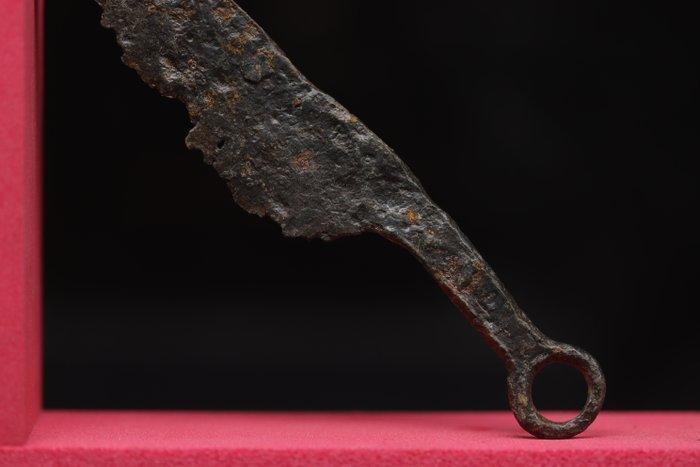 Keltisch (La Tène) IJzer Militair mes - 13.9 cm (Zonder, Antiek en Kunst, Antiek | Overige Antiek