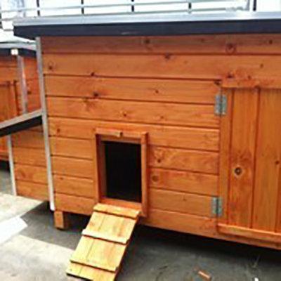 Kippenhok WOOD 3 bruin, Dieren en Toebehoren, Pluimvee | Toebehoren, Nieuw