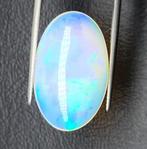 1 pcs Geel Opaal - 17.01 ct - International Gemological, Nieuw