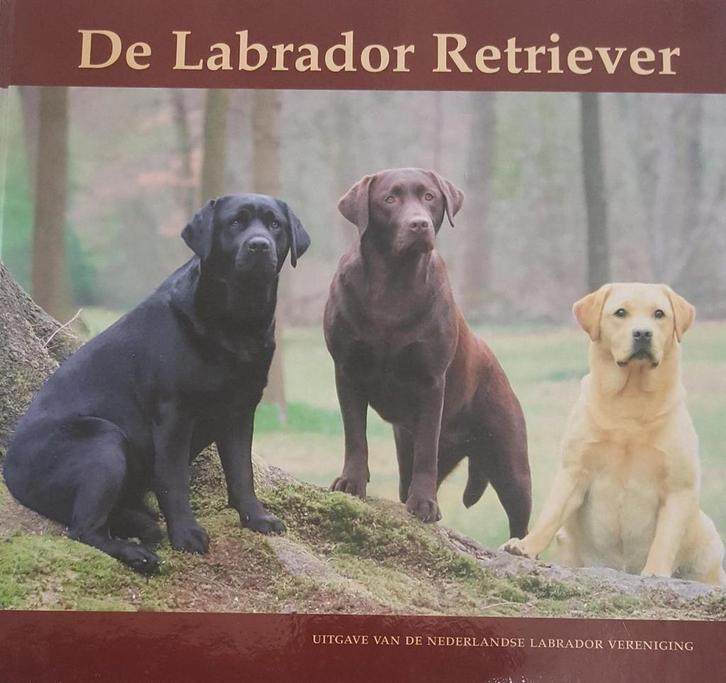 De labrador retriever 9789080311022, Boeken, Hobby en Vrije tijd, Gelezen, Verzenden