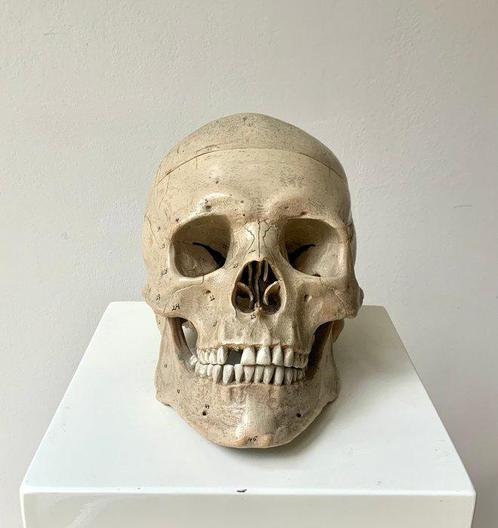 Anémomètre - plastique rigide - 1970-1980 - Crâne avec, Antiek en Kunst, Antiek | Wandborden en Tegels