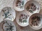 Villeroy & Boch - Bord(en) (8) - Porselein - Botanica