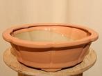 Bonsaischaal 26cm x 8,5cm - roze geglazuurd - Hoogte (boom):