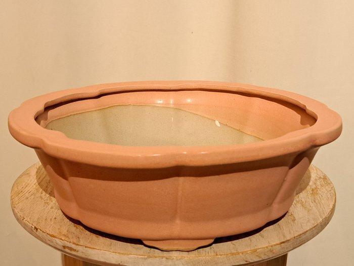 Bonsaischaal 26cm x 8,5cm - roze geglazuurd - Hoogte (boom):, Antiquités & Art, Curiosités & Brocante