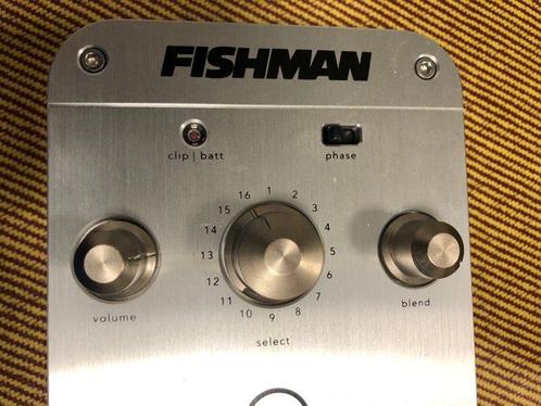 FISHMAN Aura 12 strings - Effectpedaal - Verenigde Staten, Muziek en Instrumenten, Snaarinstrumenten | Gitaren | Akoestisch