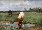 Willem de Zwart (1862-1931) - Drinkende koe bij poldersloot, Antiek en Kunst, Kunst | Schilderijen | Klassiek