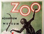 Robert Landois - ZOO Anvers Aquarium & Museum - Années 1950, Antiek en Kunst