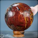 Natuurlijke sfeer van versteend hout- 9761.43 g, Verzamelen