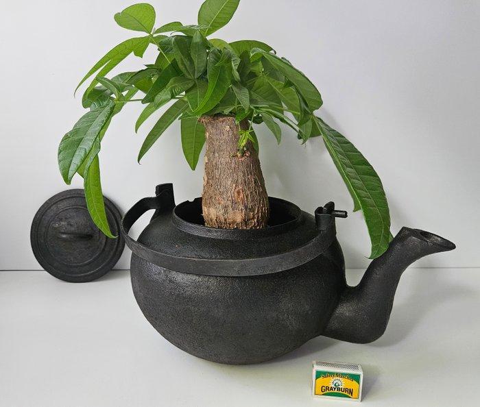 XL Antieke waterketel van schip - 8 kg ! - Fluitketel -, Antiek en Kunst, Antiek | Keukengerei