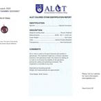 ALGT Geaccrediteerd - Gigantische en meesterlijke