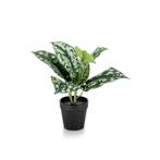 Kunstplant - Scindapsus Pictus - Geluksplant - 30 cm