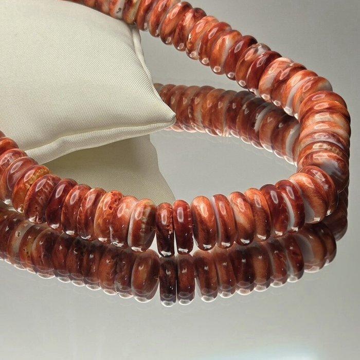 Natuurlijke oranje-rode veelkleurige stekelige schelpdraad, Verzamelen, Mineralen en Fossielen