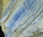 Interessante Alpine Kyaniet --- Kristallen op matrix -, Collections, Minéraux & Fossiles