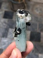 Cristal daigue-marine naturel combiné avec du schorl.