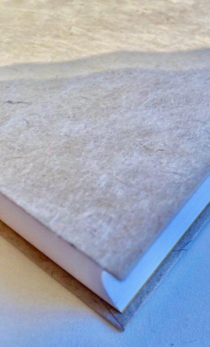 Theun de Winter - Licht van troost - 2023, Antiek en Kunst, Antiek | Boeken en Manuscripten