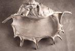 Grote Art Nouveau vide-poche - Schaal - Tin, Antiek en Kunst