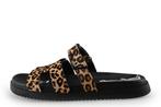 Steve Madden Pantoffels in maat 41 Panter | 5% korting, Kleding | Dames, Schoenen, Overige kleuren, Verzenden, Steve Madden, Zo goed als nieuw