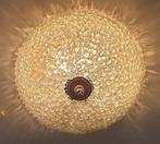 Plafondlamp - Glas, Staal - druiventros