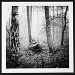 Frank Machalowski - tierwald#112, Antiek en Kunst