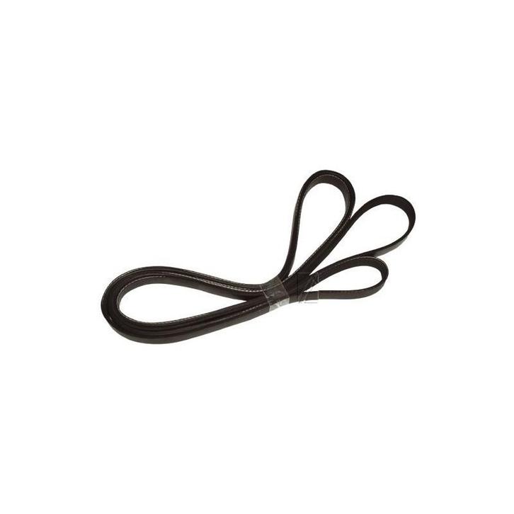 Alapure Universele Poly-V-snaar 1975 PH7, Electroménager, Lave-linge, Envoi