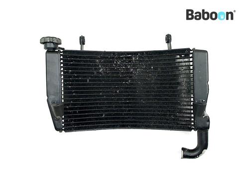 Radiateur Ducati 999 (54840411A), Motoren, Onderdelen | Ducati, Verzenden