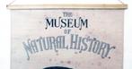 Oliver Finch - Museum of Natural History - Années 1860