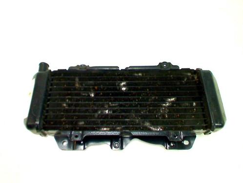Honda CN 250 Helix 1986-1990 437V RADIATEUR, Motoren, Onderdelen | Overige, Gebruikt, Ophalen of Verzenden