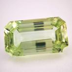 Zonder Minimumprijs Spodumeen - 56.86 ct - Antwerp, Nieuw