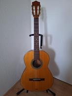 Höfner - Model Concert 515H - - Guitare classique -, Musique & Instruments