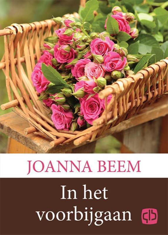 In het voorbijgaan / Rozen voor Marianne / 2 9789036430081, Boeken, Streekboeken en Streekromans, Gelezen, Verzenden