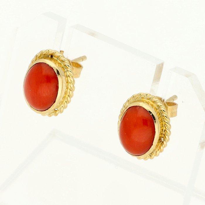 Oorbellen - 18 karaat Geel goud - Bloedkoraal, Handtassen en Accessoires, Oorbellen