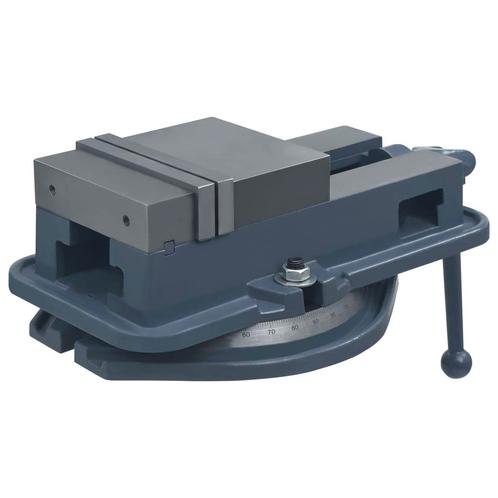 vidaXL Bankschroef draaibaar 160 mm gietijzer, Doe-het-zelf en Bouw, Gereedschap | Handgereedschap, Nieuw, Verzenden