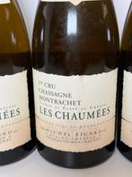 2009 Michel Picard Les Chaumées - Chassagne-Montrachet 1er, Nieuw